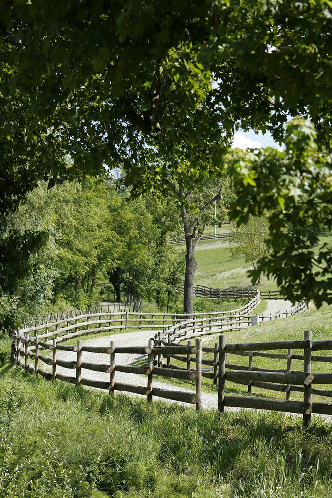 Clôture de la ferme de élevage de porcs en plein air de Rivalta