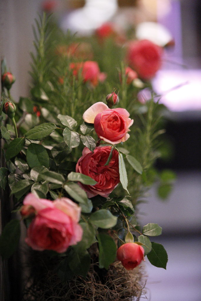 Détail du stand Rosa dell'Angelo au Cibus